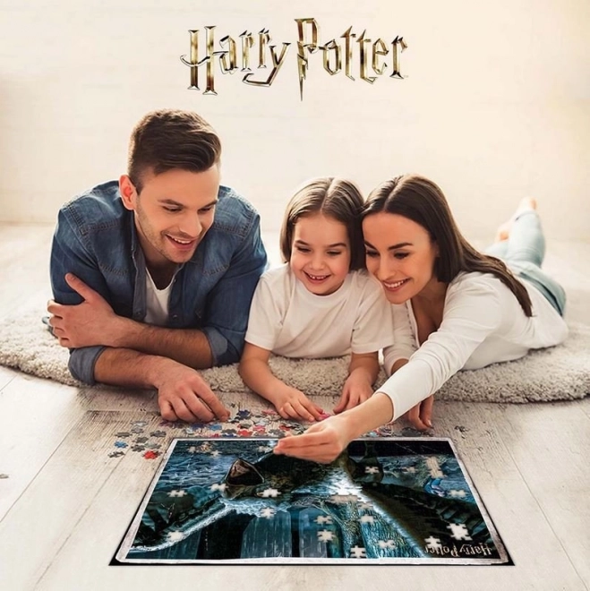 Harry Potter 3D Puzzle XL mit Klofan