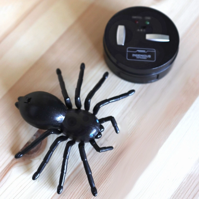 Interaktive ferngesteuerte Spinne
