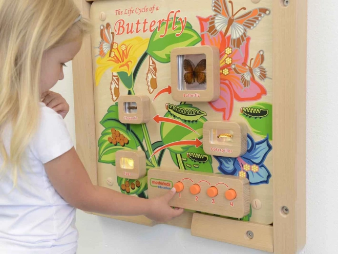 Masterkidz Lernwand Lebenszyklus Schmetterling