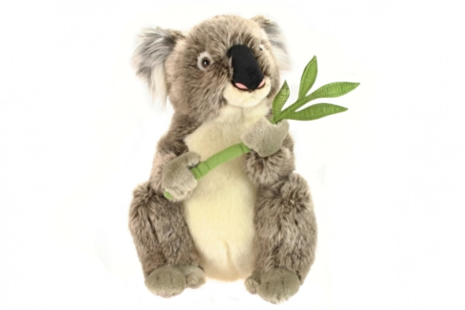 Plüsch Koala 30 cm