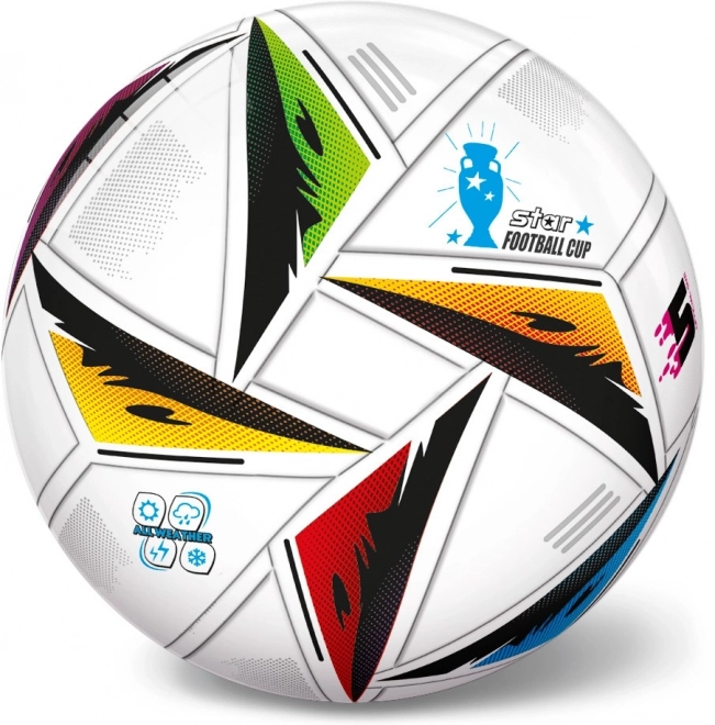Fußball EURO 24 23 cm