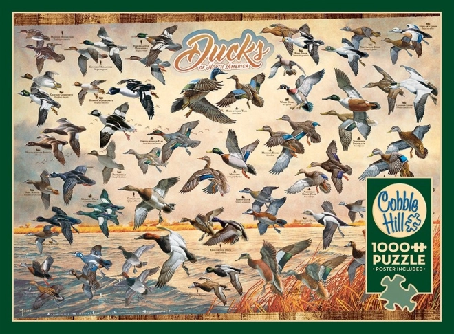 Puzzle Nordamerikanische Enten 1000 Teile