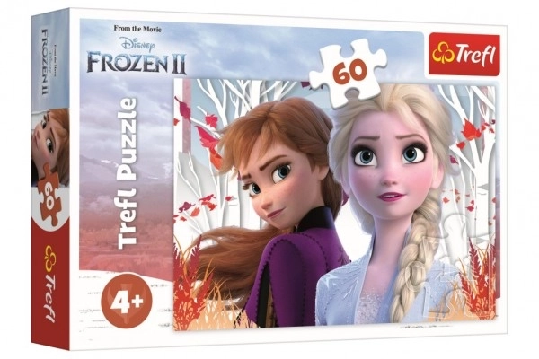 Frozen 2 Verzauberte Welt von Anna und Elsa Puzzle 60 Teile