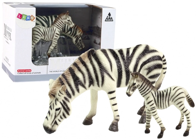 Zebraset mit Erwachsener und Jungtier - Tiere der Welt Serie