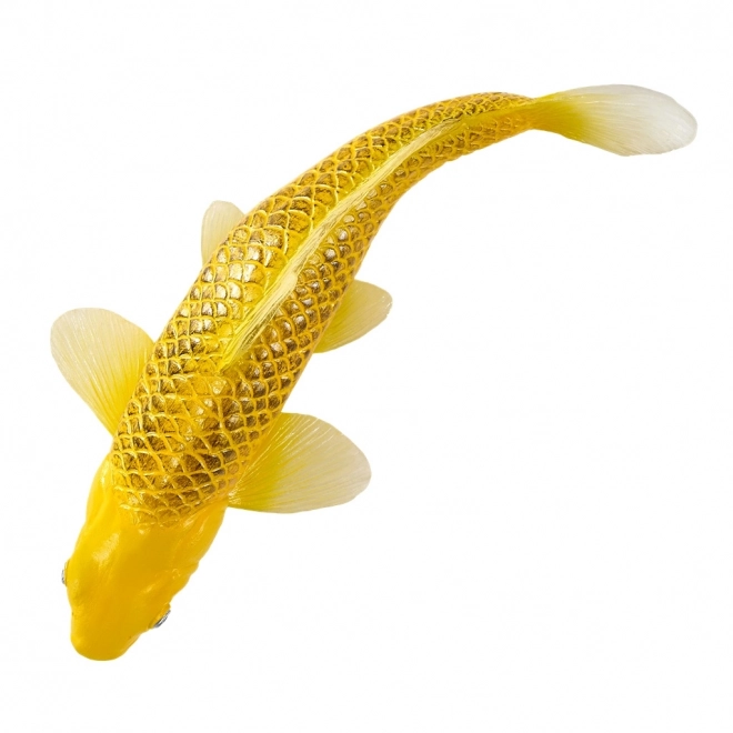 Mojo Karpfen Koi Matsuba