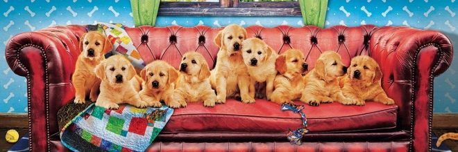 Panorama-Puzzle Labradore auf dem Hundesofa 1000 Teile