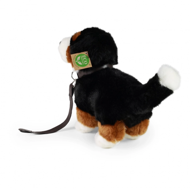 Plüsch Berner Sennenhund 22 cm - umweltfreundlich