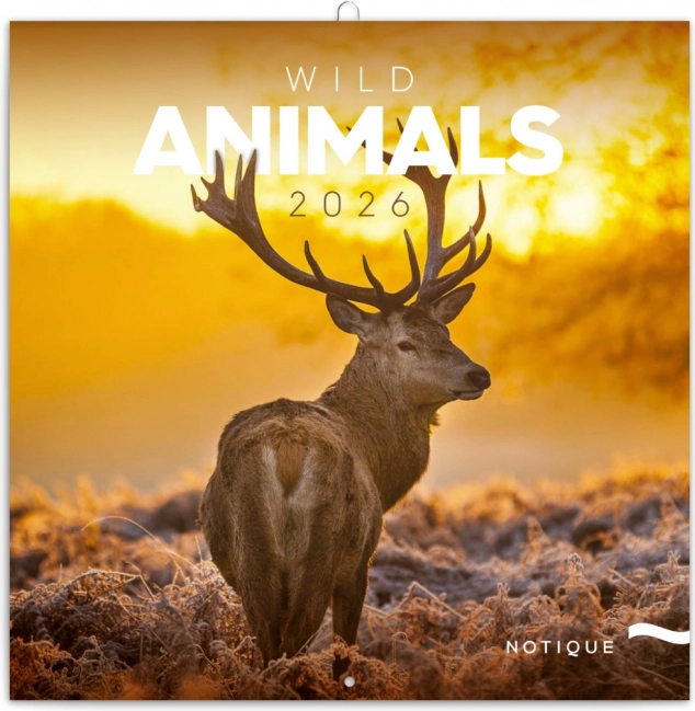 Notizkalender Wilde Tiere 2026