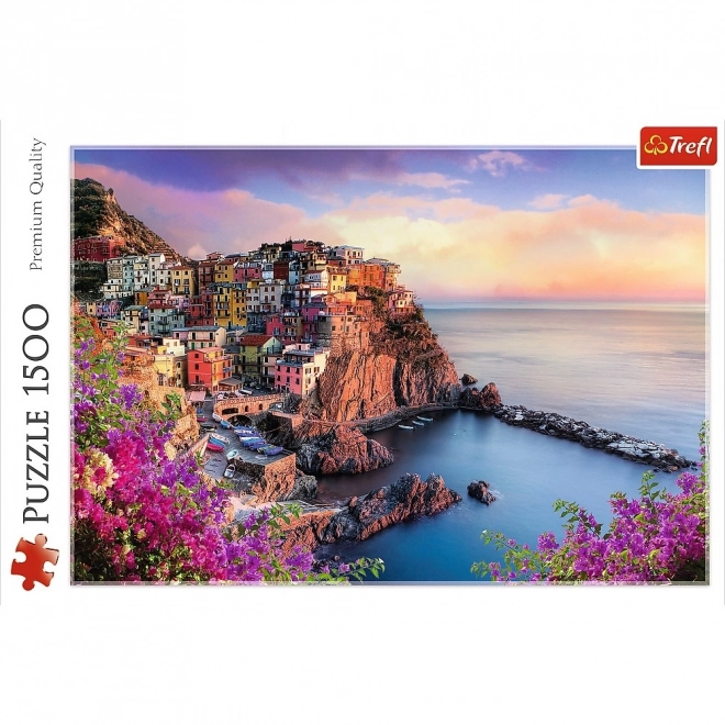 Puzzle Aussicht auf Manarola Italien