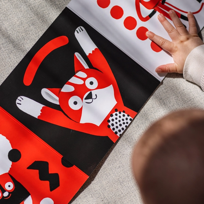 Ababu Kontrast-Bilderbuch für Babys mit Illustrationen von Patrik Antczak