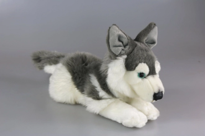 Plüsch Husky 34 cm