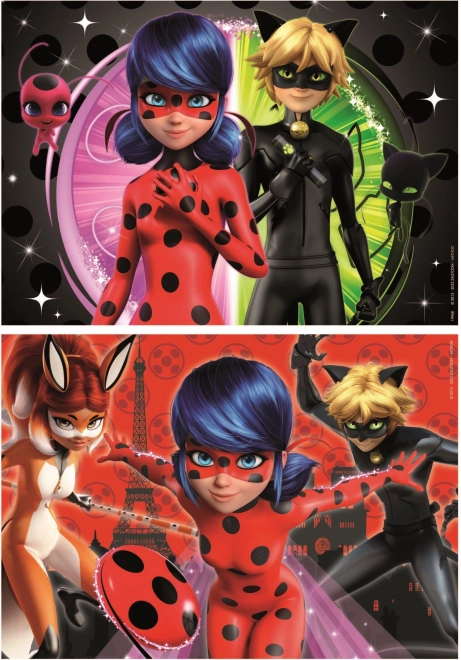 Puzzle Miraculous Ladybug und Cat Noir