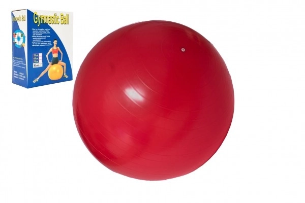 Gymnastikball - Rehabilitations- und Entspannungsball 85 cm