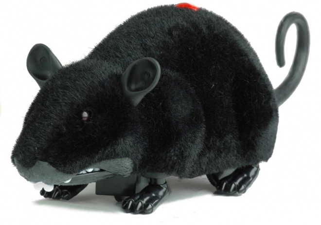 Große schwarze ferngesteuerte Maus mit Rädern