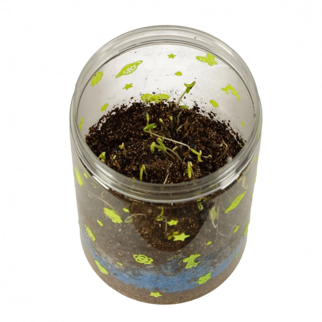 Terrarium zum Pflanzenanbau mit LED-Lampe und Dinosauriern
