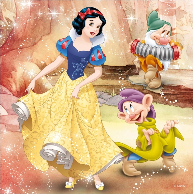 Disney Prinzessinnen Puzzle Set