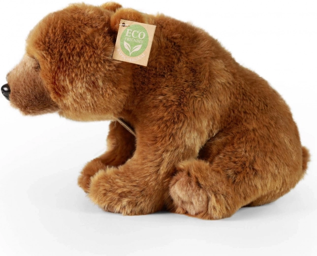 Realistische Grizzly-Details