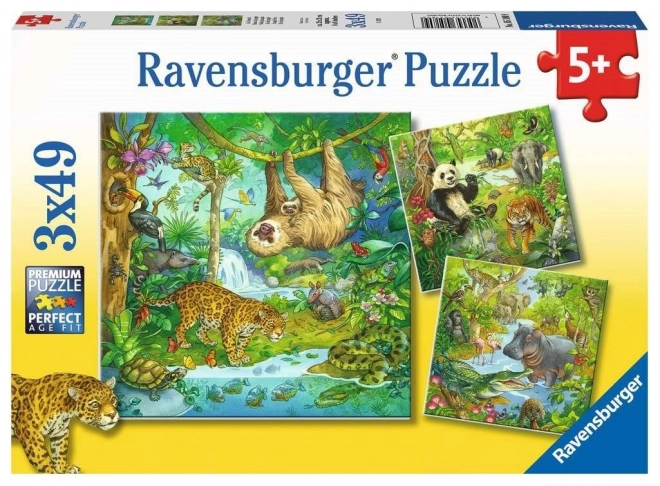 Ravensburger Puzzle Tiere im Dschungel