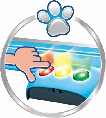 Interaktiver Spaß mit Lichtern und Sounds