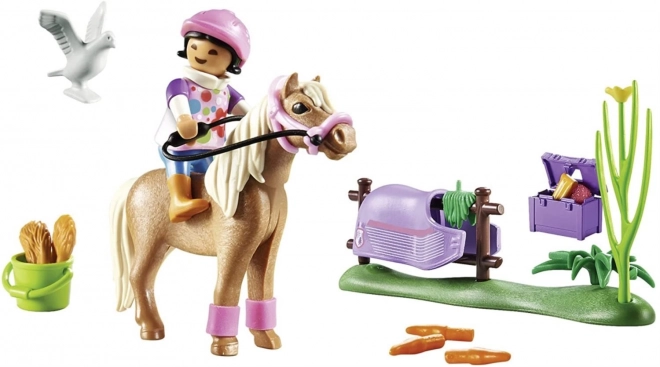 Playmobil Islandisches Pony Set