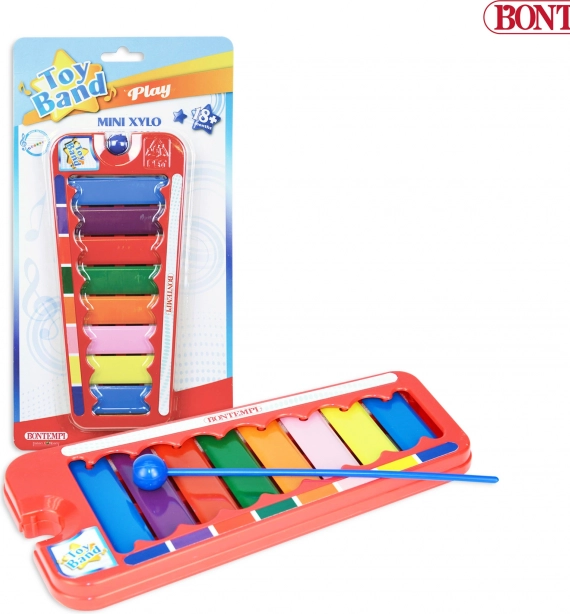 Pädagogisches Mini-Xylophon für Kinder