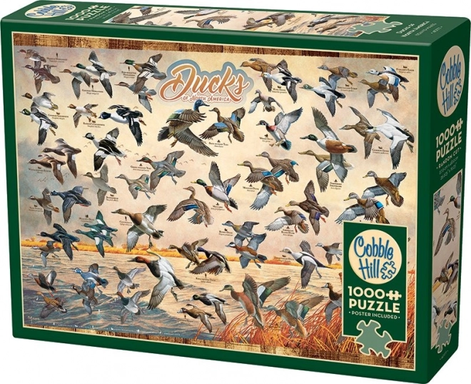 Puzzle Nordamerikanische Enten 1000 Teile