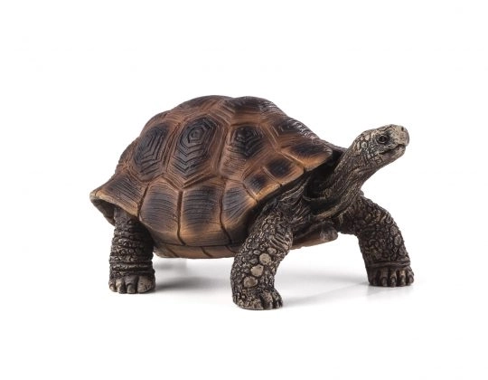 Realistische Riesenschildkröte Figur von Mojo