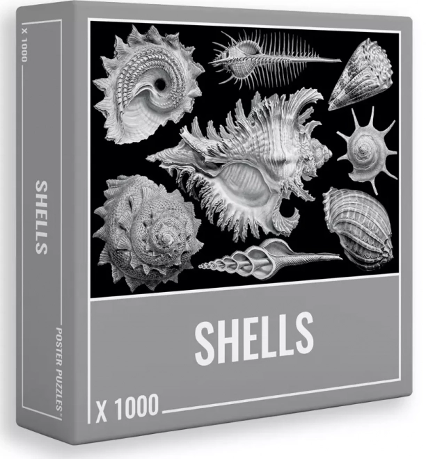 Puzzle 1000 Teile Shells von Cloudberries