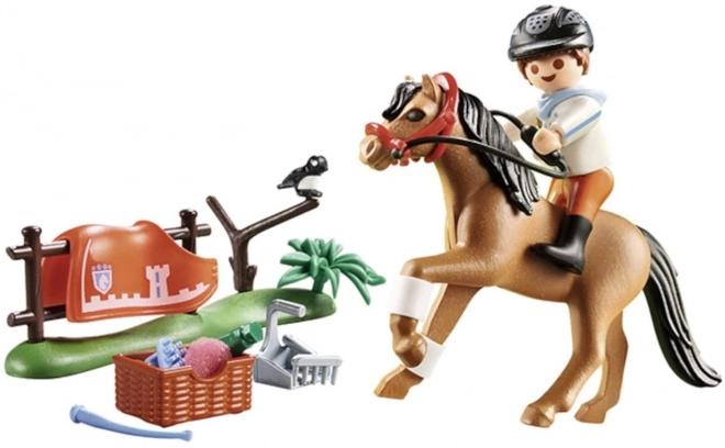 Playmobil Sammlerset Connemara Pony