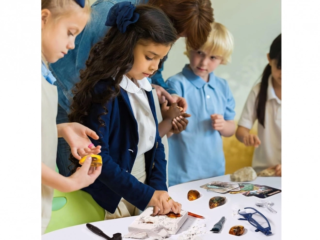 Archäologisches Fossilien-Ausgrabungsset für Kinder