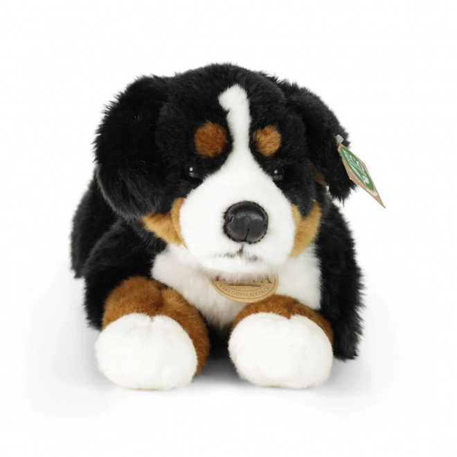 Plüsch Berner Sennenhund liegend 44 cm umweltfreundlich