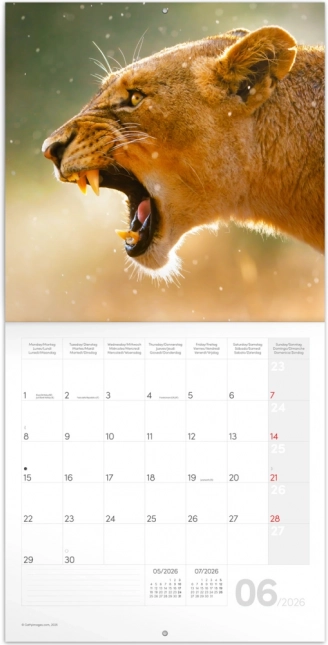 Notizkalender Wilde Tiere 2026
