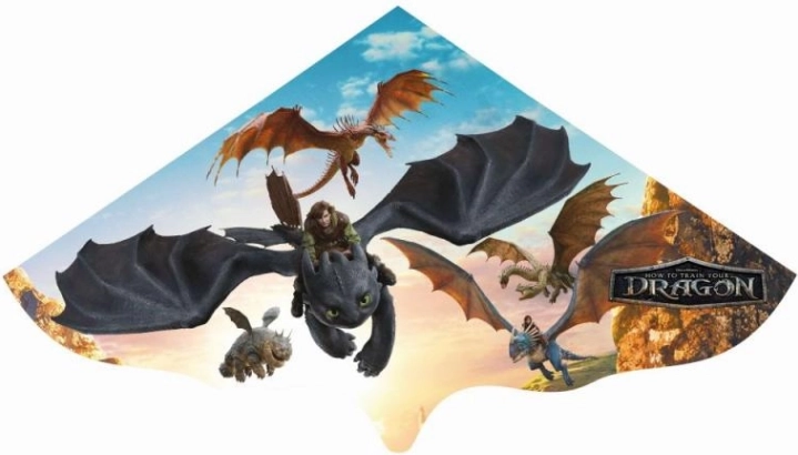Fliegender Drache So trainierst du deinen Drachen
