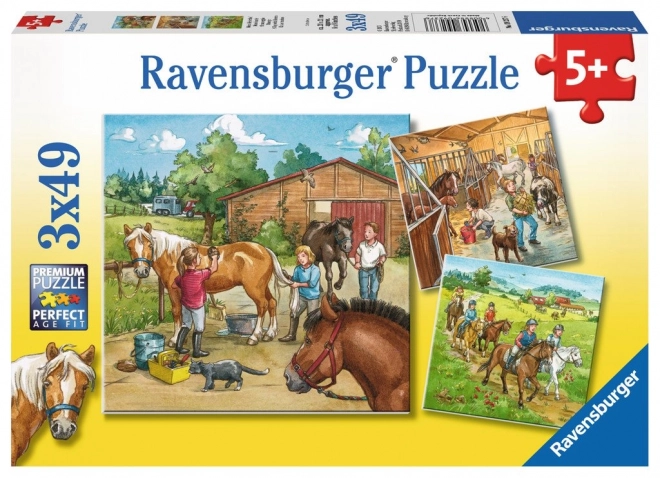 Ravensburger Puzzle Bei den Pferden 3x49 Teile