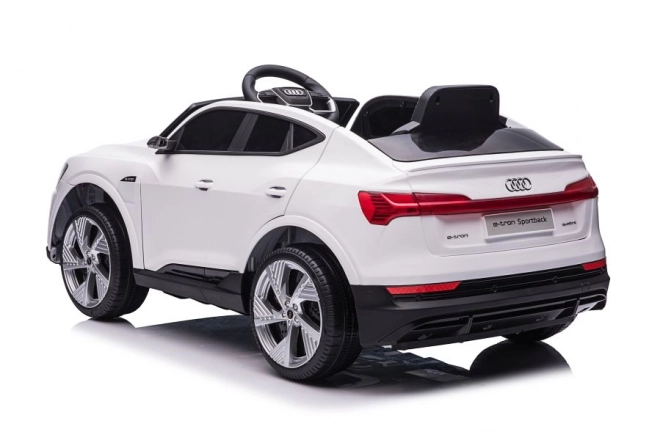 Audi E-Tron Autobatterie Weiß QLS-6688