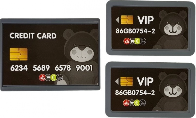 Zahlungsterminal und Karten