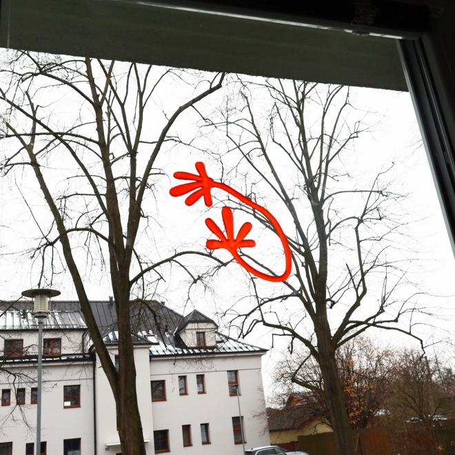 Haftet auf glatten Oberflächen