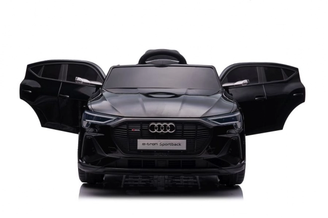 Audi E-Tron Autobatterie Schwarz QLS-6688