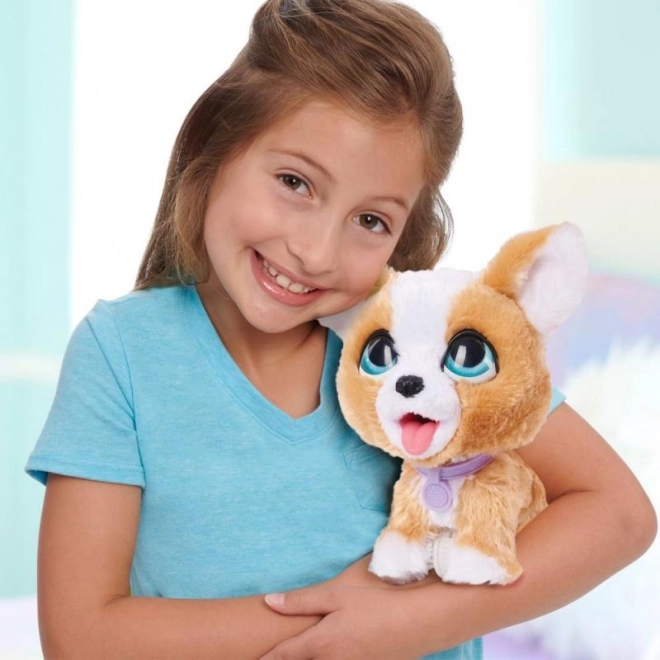 FurReal interaktiver corgi welpe