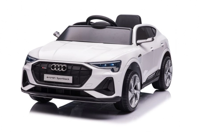 Audi E-Tron Autobatterie Weiß QLS-6688