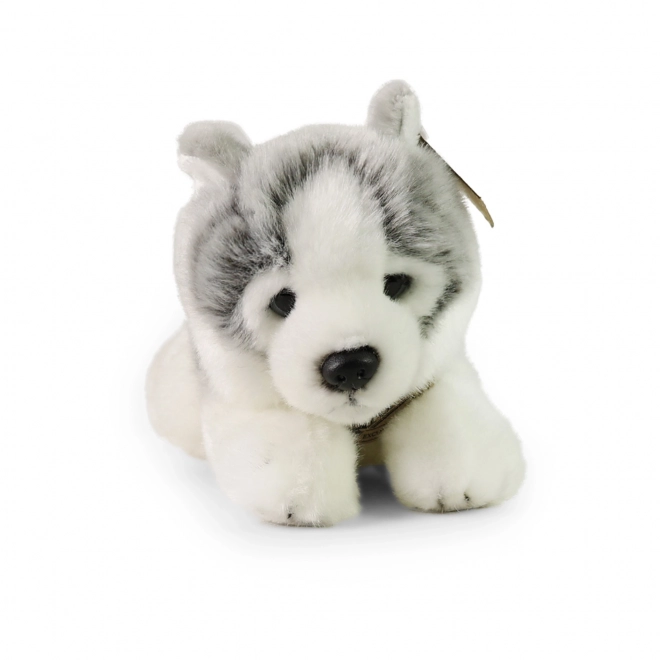 Plüschhund Husky aus umweltfreundlichen Materialien