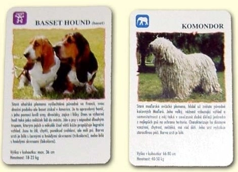 Kartenspiel Quartett mit Hunde-Motiven