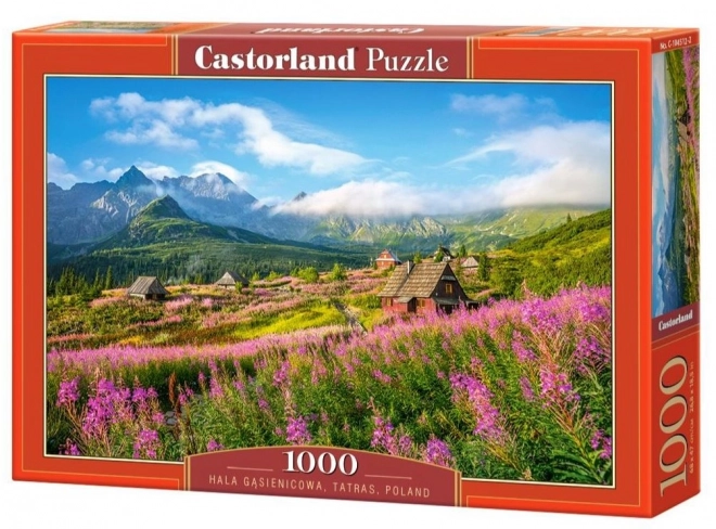 Puzzle 1000 Teile Hala Gąsienicowa, Tatra, Polen