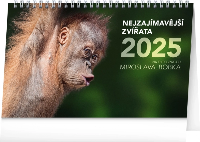 Tischkalender Faszinierende Tiere 2025