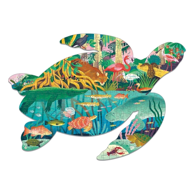 Ikonische Schildkrötenform und lebendige Feuchtgebiets-Illustrationen