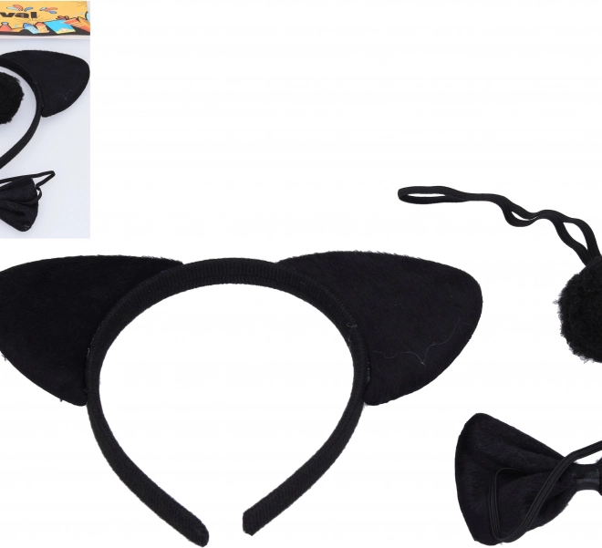 Bärenset für Karneval