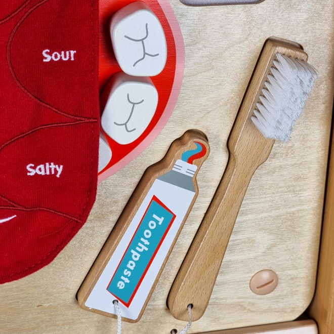 Masterkidz Wand-Sensoriktafel Mundhygiene Montessori