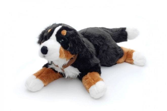 Plüsch Berner Sennenhund 65 cm