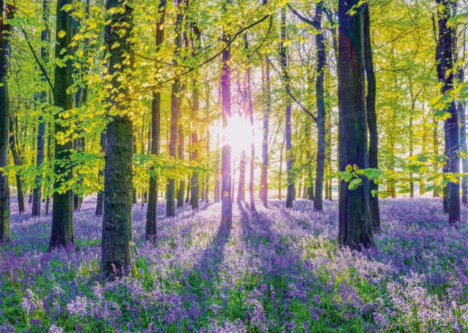 Schmidt Puzzle Sanfte Blaue Glocken im Wald