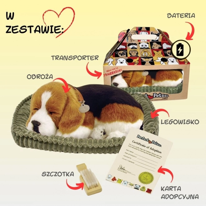Atmender Welpen Beagle von Perfect Petzzz